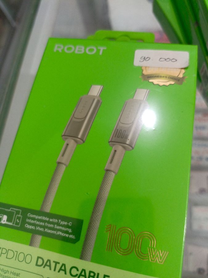 Robot rzpd100