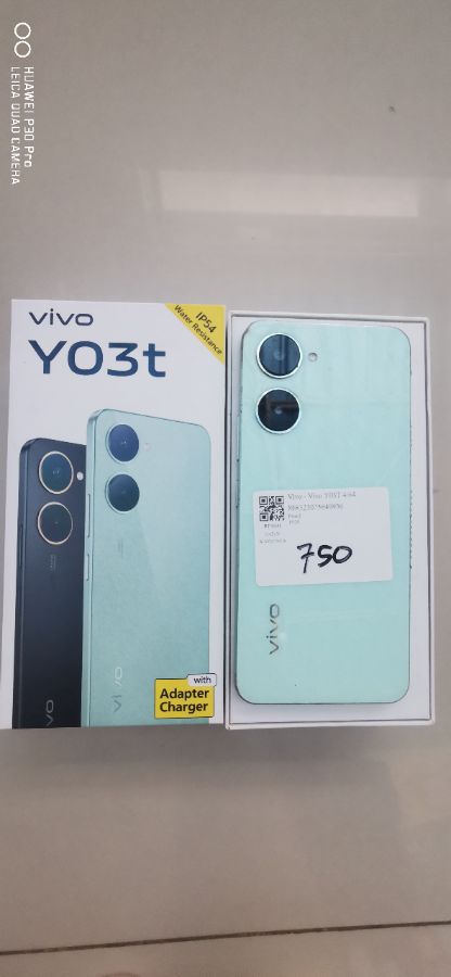 Vivo Y03T 4/64 
