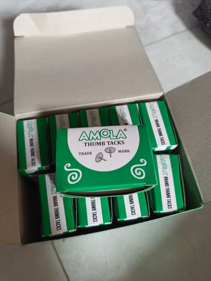 Paku tindis amola
