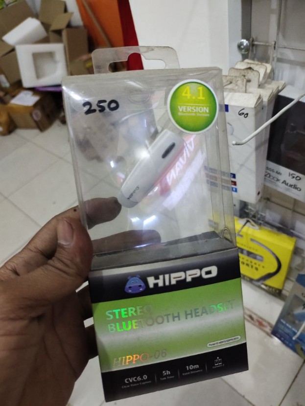 HIPPO 06