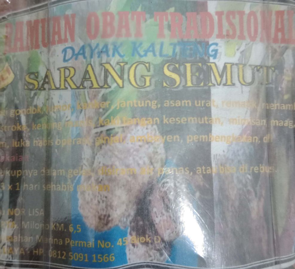 SARANG SEMUT IBU NOR LISA DAYAK KALTENG