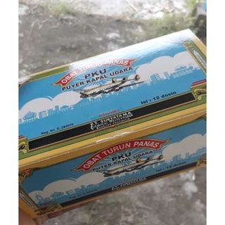 PUYER KAPAL TERBANG 800g