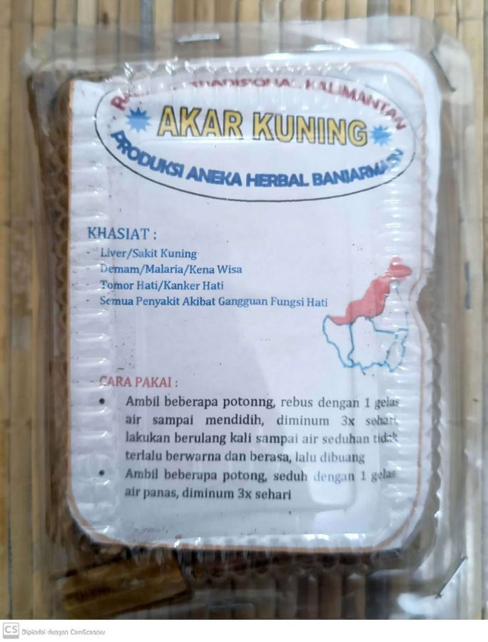 AKAR KUNING BANJARMASIN