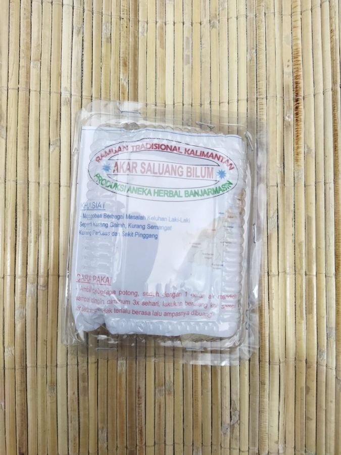 AKAR SALUANG BELUM BANJARMASIN