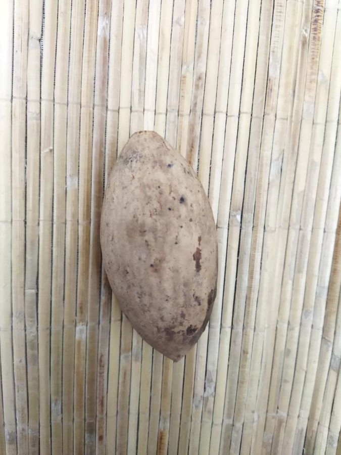 BUAH ULIN BANJARMASIN