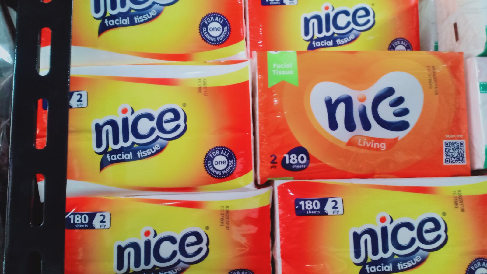 Tissue nice ecer