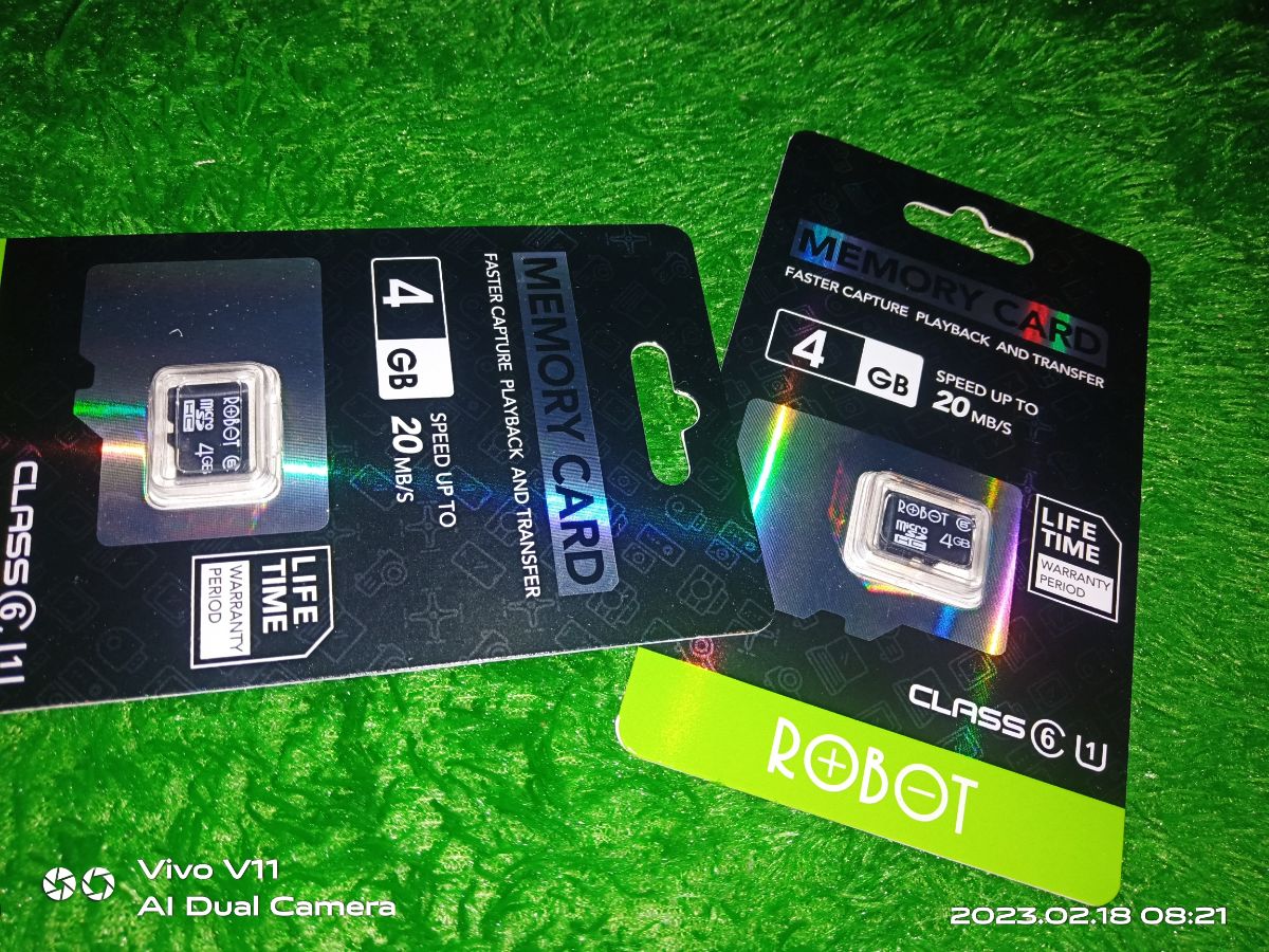 MEMORY CARD 4GB ROBOT CLASS 6