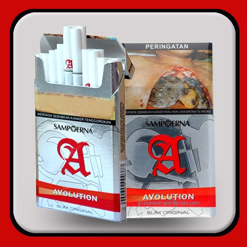  ROKOK AVOLUTION MERAH