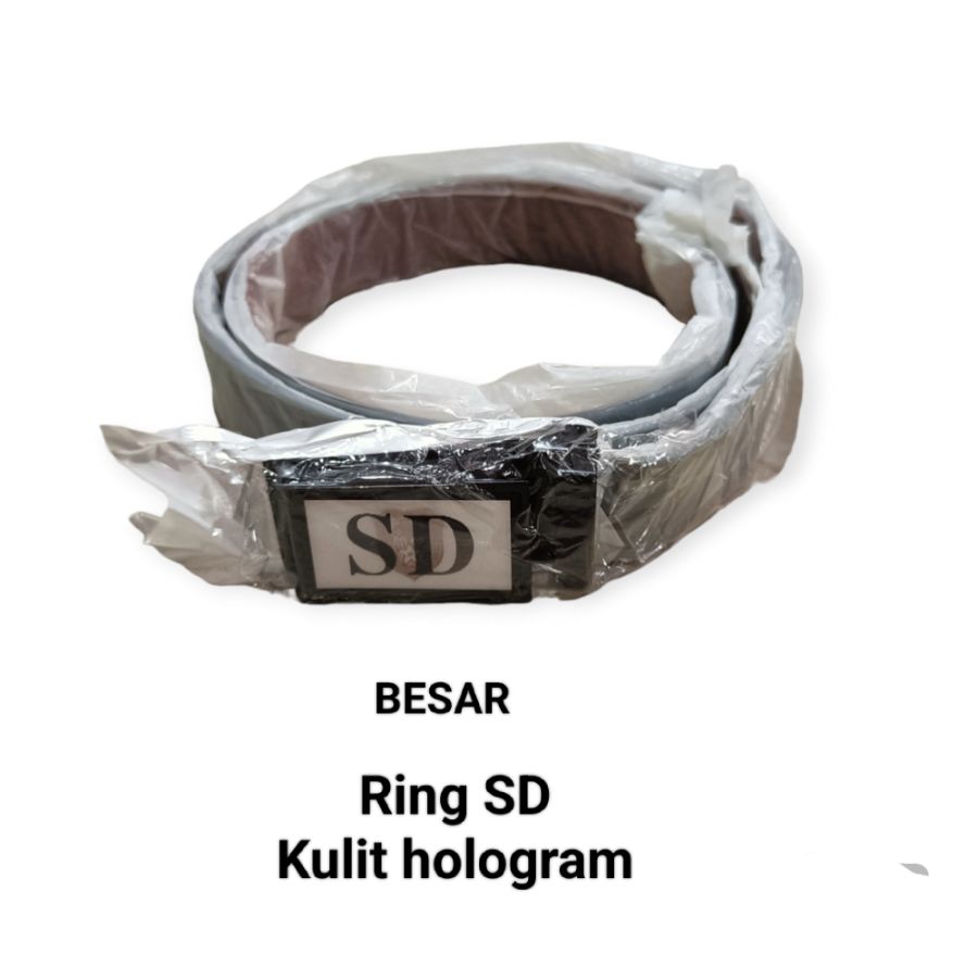 Rim SD Kulit Hologram B
