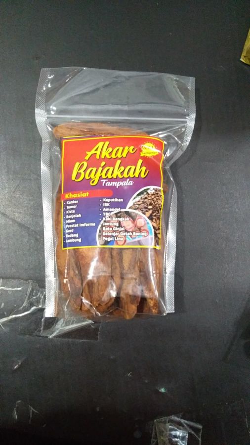 AKAR BAJAKAH TAMPALA