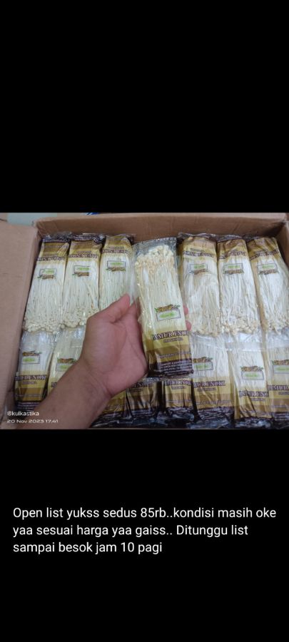Enoki