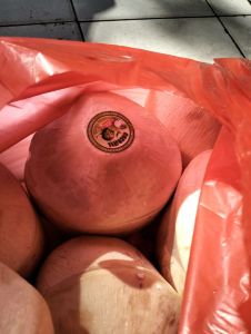 Puding kelapa buah