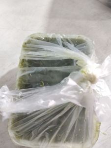 Cincau