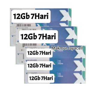 V XL 12 GB 7Hari 