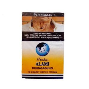 TRUBUS ALAMI