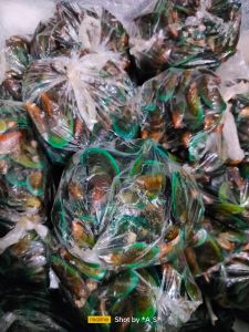 Kerang ijo 