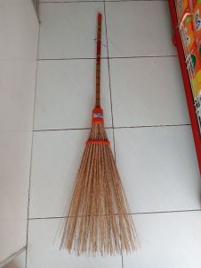 SAPU TAMAN LIDI