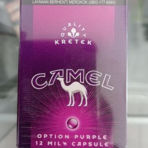 CAMEL PURPLE