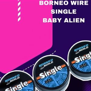 BORNEO BUILD SINGLE 