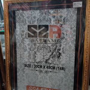 SSA Frame 14R Gold