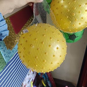 Bola Karet Duri