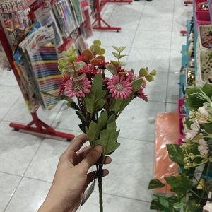 Bunga Mini Daisy