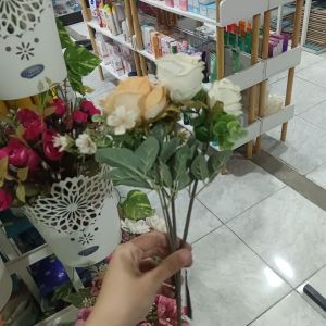 Bunga Hollandrose Kecil