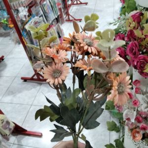 Bunga Minidaisy