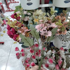 Bunga Minidaisy 