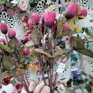 Bunga Tulip Full Pink 