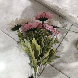 Bunga Garbera Mix