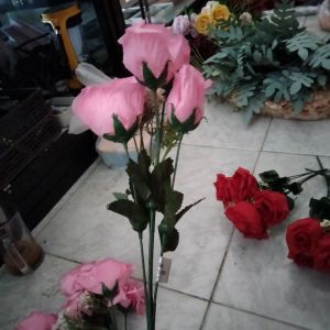 Bunga Rose Tropis