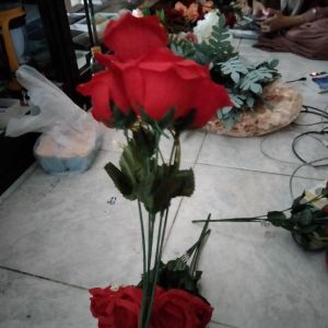 Bunga Rose Tropis 