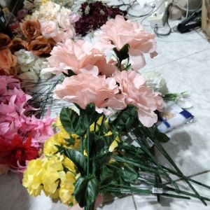 Bunga anyelir salem