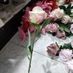 Bunga rose bludru pink