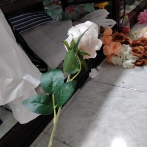 Bunga rose bludru peach