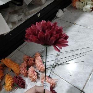 Bunga rose dandelion maroon