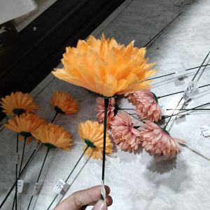 Bunga rose dandelion orange