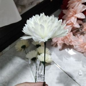 Bunga rose dandelion broken white 