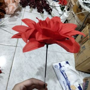 Bunga krisan jumbo merah