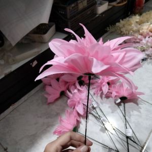 Bunga krisan jumbo pink