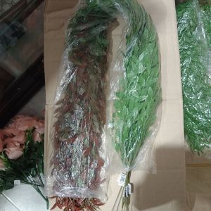 Daun Juntai Likanyu Merah