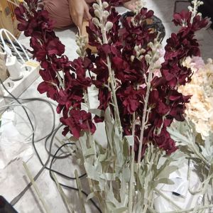 Bunga Delphinium Spring Maroon