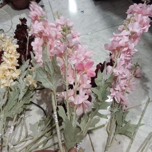 Bunga Delphinium Pink
