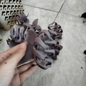 Jedai doff purple