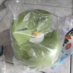 Celengan Gas