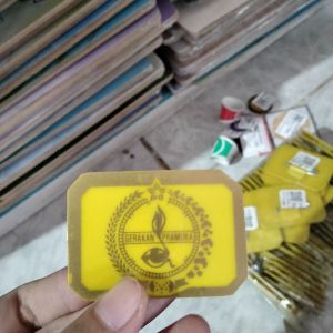 Pin penegak cowok