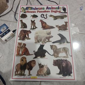 Poster Hewan Carnivora