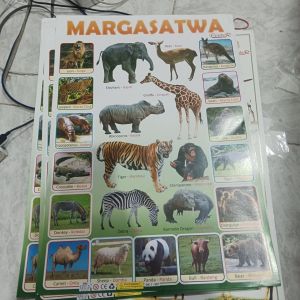 Poster Margasatwa