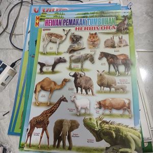 Poster Hewan Herbivora